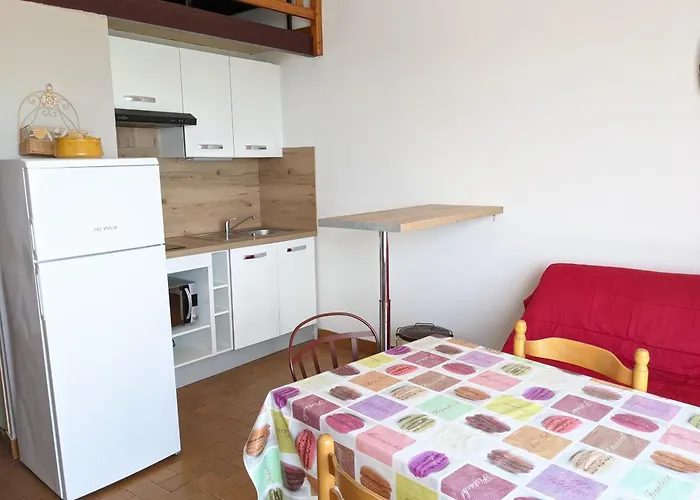 Apartmán T2 Mezzanine 4/5 Pers A 250m De La Plage, Balcon, Vue Panoramique - Fr-1-797-26 *